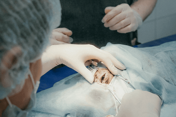 Cirurgias Veterinárias